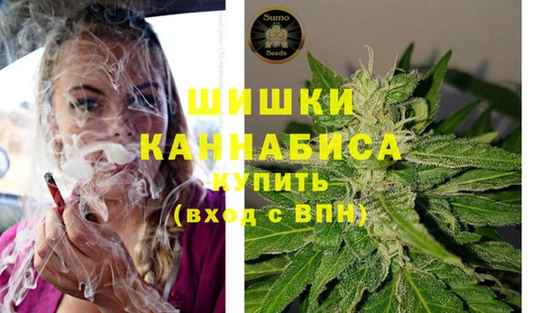 трава Дмитриев
