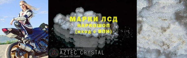 гидра Гусиноозёрск