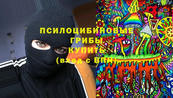 скорость Ладушкин