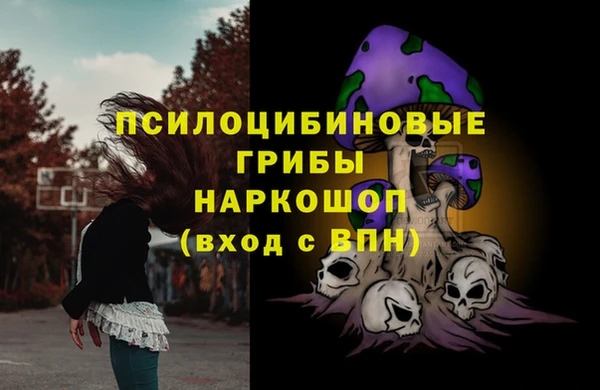 прущий лед Дмитров