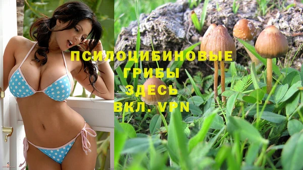 MESCALINE Дмитровск
