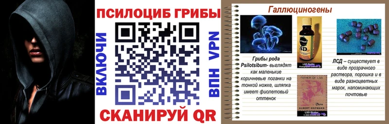 Псилоцибиновые грибы Cubensis  Дальнереченск 